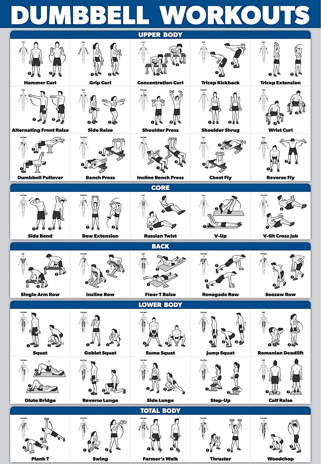 dumbbell workout chart printable free